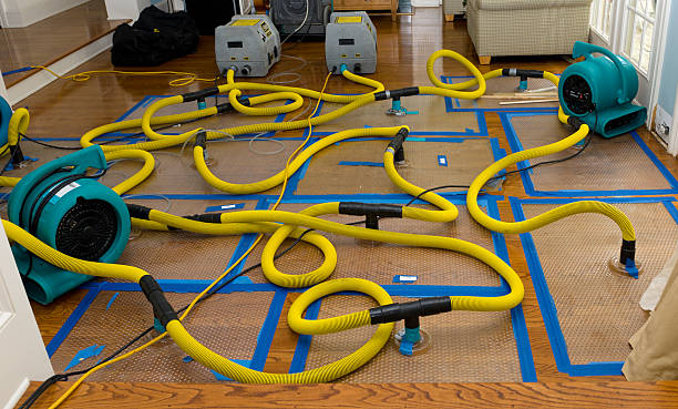 Professional Structural Drying And Dehumidification technician working in Burns, TN