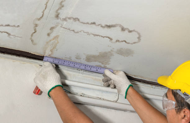 Affordable Water Damage Repair solutions in Burns, TN